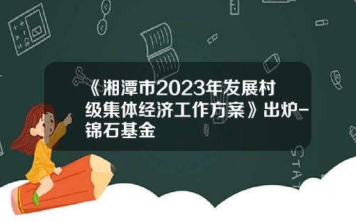 《湘潭市2023年发展村级集体经济工作方案》出炉-锦石基金