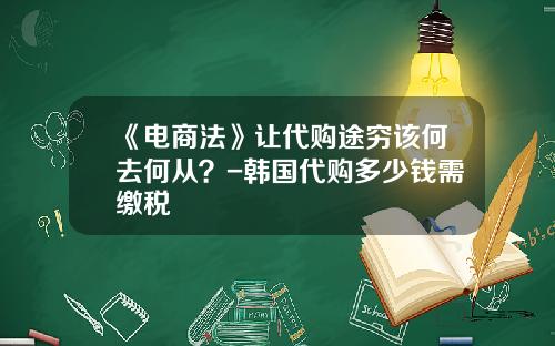 《电商法》让代购途穷该何去何从？-韩国代购多少钱需缴税