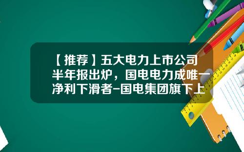 【推荐】五大电力上市公司半年报出炉，国电电力成唯一净利下滑者-国电集团旗下上市公司