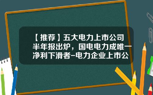 【推荐】五大电力上市公司半年报出炉，国电电力成唯一净利下滑者-电力企业上市公司