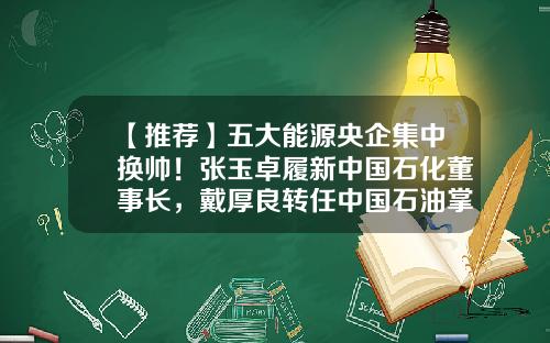 【推荐】五大能源央企集中换帅！张玉卓履新中国石化董事长，戴厚良转任中国石油掌门人-中石化江苏公司总经理
