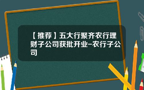 【推荐】五大行聚齐农行理财子公司获批开业-农行子公司