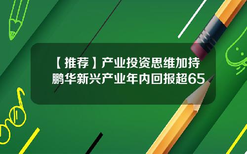 【推荐】产业投资思维加持鹏华新兴产业年内回报超65