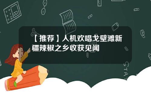 【推荐】人机欢唱戈壁滩新疆辣椒之乡收获见闻