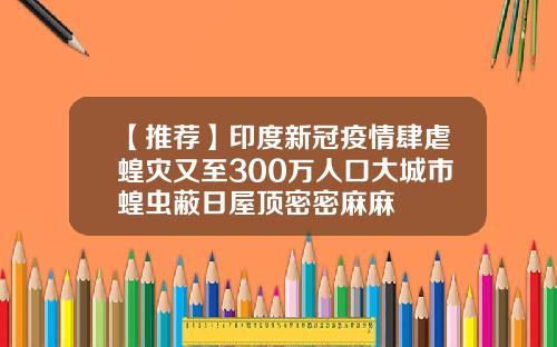 【推荐】印度新冠疫情肆虐蝗灾又至300万人口大城市蝗虫蔽日屋顶密密麻麻