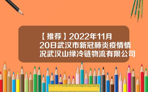【推荐】2022年11月20日武汉市新冠肺炎疫情情况武汉山绿冷链物流有限公司