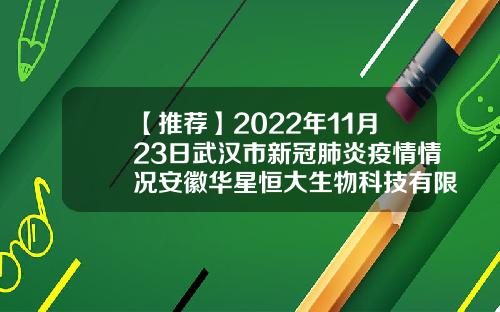 【推荐】2022年11月23日武汉市新冠肺炎疫情情况安徽华星恒大生物科技有限公司