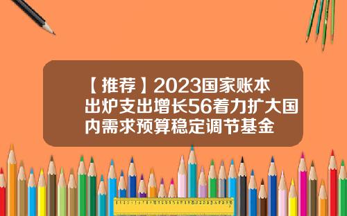 【推荐】2023国家账本出炉支出增长56着力扩大国内需求预算稳定调节基金
