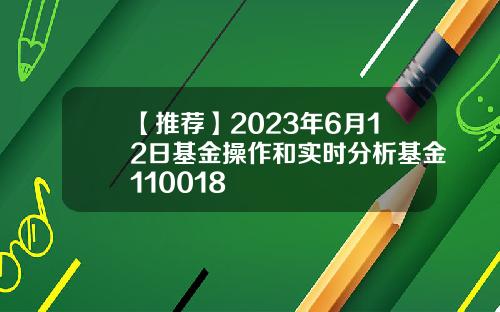 【推荐】2023年6月12日基金操作和实时分析基金110018