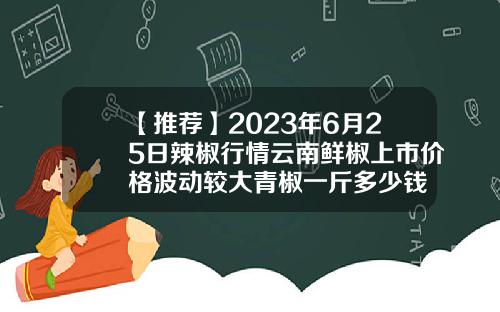 【推荐】2023年6月25日辣椒行情云南鲜椒上市价格波动较大青椒一斤多少钱