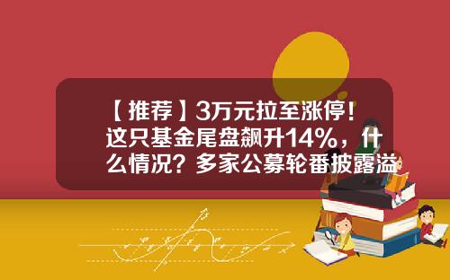【推荐】3万元拉至涨停！这只基金尾盘飙升14%，什么情况？多家公募轮番披露溢价公告-基金买卖价格