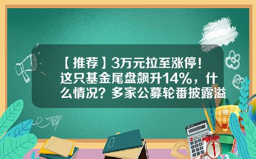 【推荐】3万元拉至涨停！这只基金尾盘飙升14%，什么情况？多家公募轮番披露溢价公告-基金股票上折