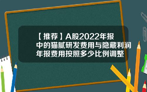 【推荐】A股2022年报中的猫腻研发费用与隐藏利润年报费用按照多少比例调整