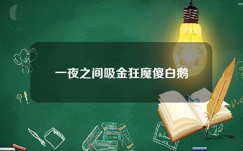 一夜之间吸金狂魔傻白鹅