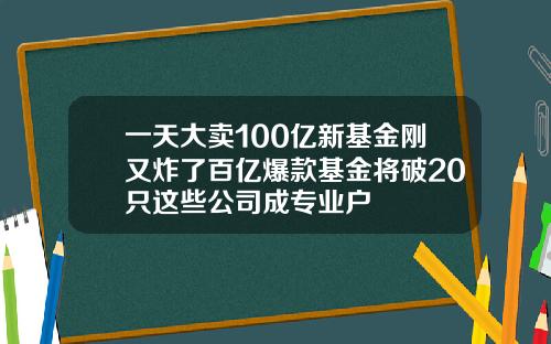 一天大卖100亿新基金刚又炸了百亿爆款基金将破20只这些公司成专业户
