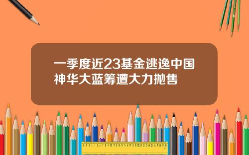 一季度近23基金逃逸中国神华大蓝筹遭大力抛售
