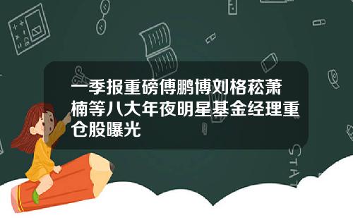 一季报重磅傅鹏博刘格菘萧楠等八大年夜明星基金经理重仓股曝光