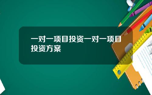 一对一项目投资一对一项目投资方案