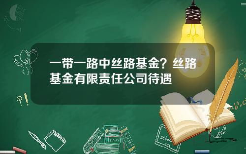 一带一路中丝路基金？丝路基金有限责任公司待遇