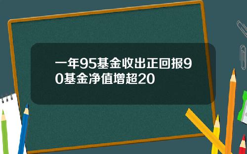 一年95基金收出正回报90基金净值增超20