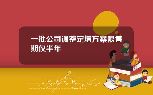 一批公司调整定增方案限售期仅半年