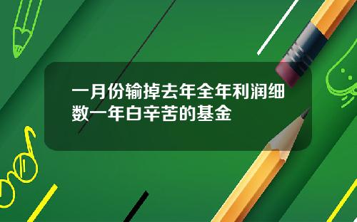 一月份输掉去年全年利润细数一年白辛苦的基金
