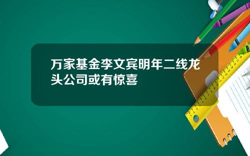 万家基金李文宾明年二线龙头公司或有惊喜