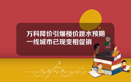 万科降价引爆楼价跳水预期一线城市已现变相促销