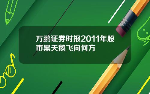 万鹏证券时报2011年股市黑天鹅飞向何方