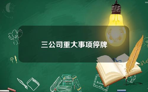 三公司重大事项停牌