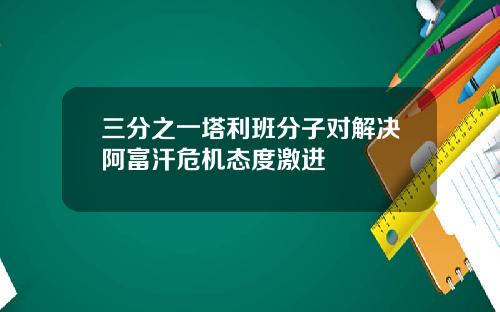 三分之一塔利班分子对解决阿富汗危机态度激进