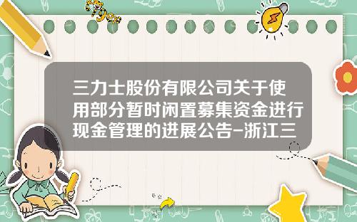 三力士股份有限公司关于使用部分暂时闲置募集资金进行现金管理的进展公告-浙江三力士智能装备制造有限公司