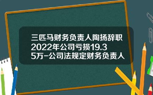 三匹马财务负责人陶扬辞职2022年公司亏损19.35万-公司法规定财务负责人