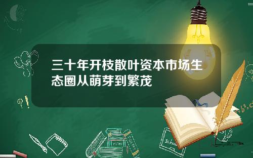 三十年开枝散叶资本市场生态圈从萌芽到繁茂