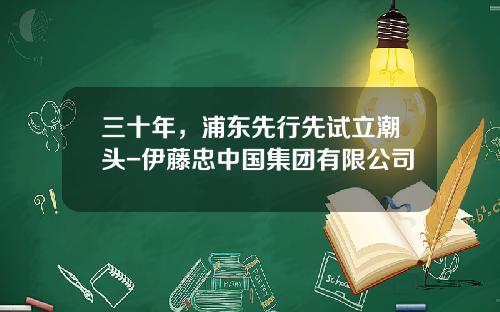 三十年，浦东先行先试立潮头-伊藤忠中国集团有限公司