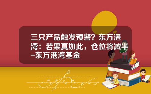 三只产品触发预警？东方港湾：若果真如此，仓位将减半-东方港湾基金