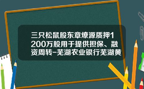 三只松鼠股东章燎源质押1200万股用于提供担保、融资周转-芜湖农业银行芜湖黄山路支行行号是多少