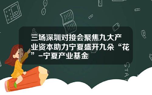 三场深圳对接会聚焦九大产业资本助力宁夏盛开九朵“花”-宁夏产业基金