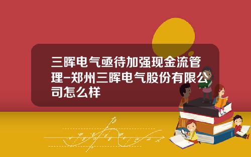 三晖电气亟待加强现金流管理-郑州三晖电气股份有限公司怎么样