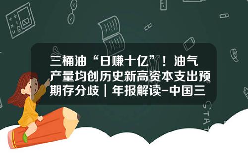 三桶油“日赚十亿”！油气产量均创历史新高资本支出预期存分歧｜年报解读-中国三桶油在高位时买了多少油井
