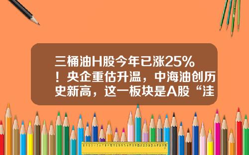 三桶油H股今年已涨25%！央企重估升温，中海油创历史新高，这一板块是A股“洼地“-a股炼油公司