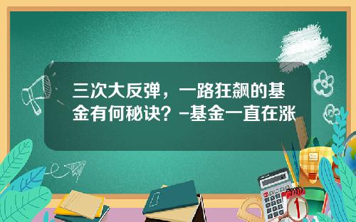 三次大反弹，一路狂飙的基金有何秘诀？-基金一直在涨