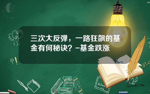 三次大反弹，一路狂飙的基金有何秘诀？-基金跌涨
