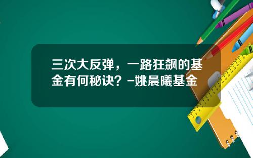 三次大反弹，一路狂飙的基金有何秘诀？-姚晨曦基金