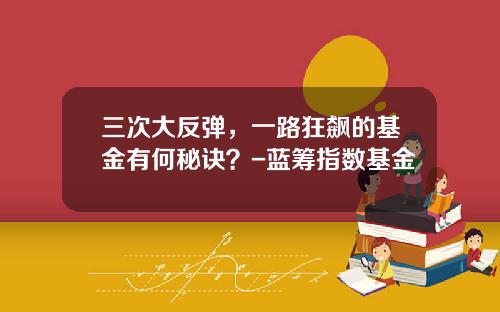 三次大反弹，一路狂飙的基金有何秘诀？-蓝筹指数基金