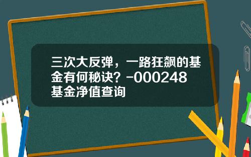 三次大反弹，一路狂飙的基金有何秘诀？-000248基金净值查询