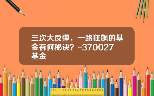 三次大反弹，一路狂飙的基金有何秘诀？-370027基金