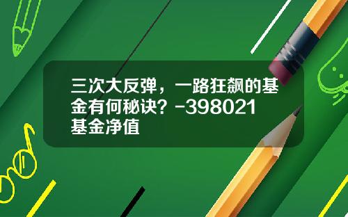 三次大反弹，一路狂飙的基金有何秘诀？-398021基金净值