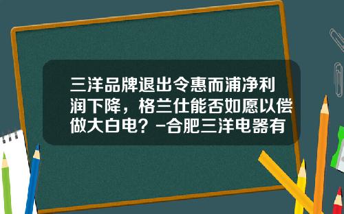 三洋品牌退出令惠而浦净利润下降，格兰仕能否如愿以偿做大白电？-合肥三洋电器有限公司
