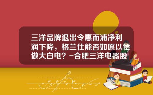 三洋品牌退出令惠而浦净利润下降，格兰仕能否如愿以偿做大白电？-合肥三洋电器股份有限公司怎么样